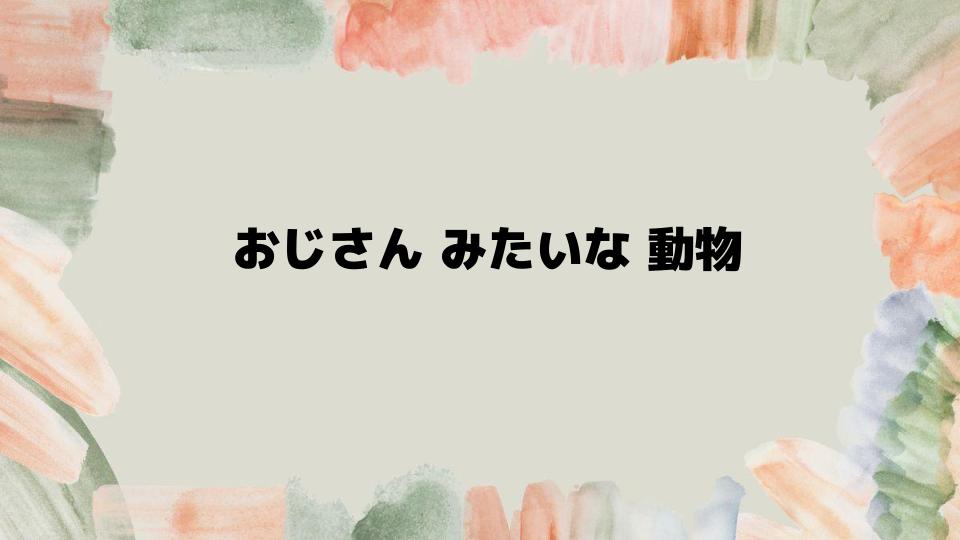 おじさんみたいな動物マーモットの飼育方法